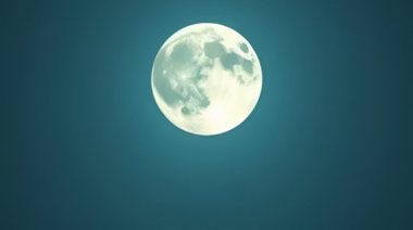 Biorepositorio lunar: el proyecto que busca preservar la biodiversidad en la Tierra