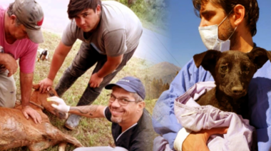 Nuevo libro sobre gestión de animales en contexto de catástrofes