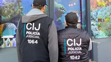 Clausuran locales comerciales por cría y comercialización de especies marinas prohibidas