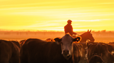 Biogénesis Bagó acompaña el Centenario Hereford en La Rural