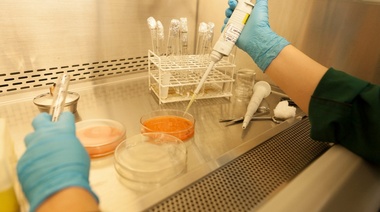 Agilizan los tiempos para tramitar el registro de productos biológicos de uso veterinario