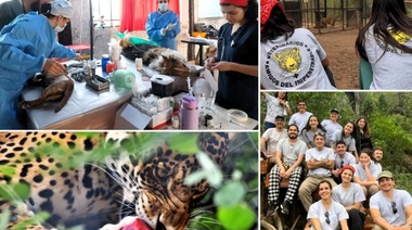 "Las Hacheras" recibió el abrazo solidario de los "Veterinarios Amigos del Impenetrable"