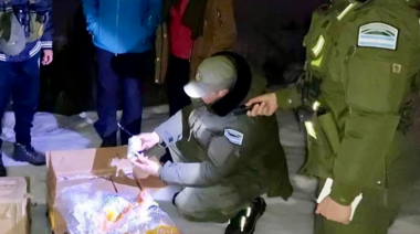 Decomisan medicamentos veterinarios de contrabando