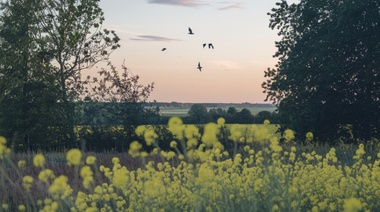 Proponen la implementación de espacios de conservación en agroecosistemas