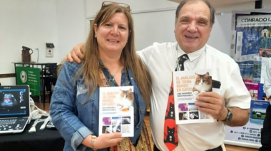 "El análisis de orina rápido en gatos, una maniobra indispensable"