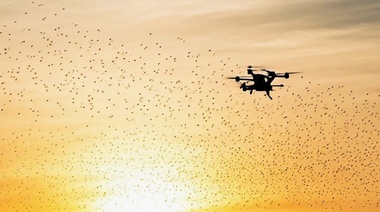 Investigan el impacto del uso de drones en las aves