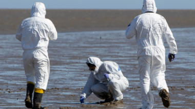 El Senasa actualiza las técnicas para detectar la enfermedad a través de heces aviares