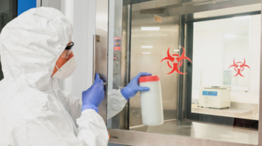 Documentan el caso de tuberculosis bovina en un mono caí en el Parque Nacional Iguazú