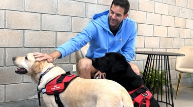 Perros de asistencia acompañaron a Juan Martín Del Potro en su despedida del tenis profesional