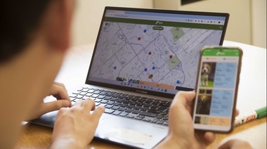 BETA App: nueva aplicación para la búsqueda de animales de compañía perdidos