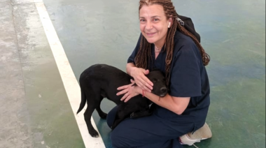 Perros potencialmente peligrosos: Una mirada integral de la prevención de agresiones