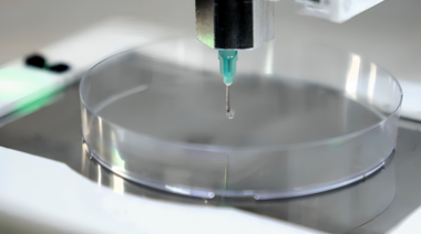 Parches 3D: nuevo desarrollo de la UBA para curar heridas dérmicas complejas