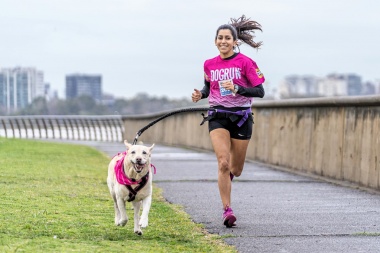 Perros y tutores juntos en el deporte y el esparcimiento