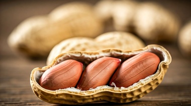 Demuestran que el extracto de piel de maní tiene propiedades para inhibir el virus del dengue