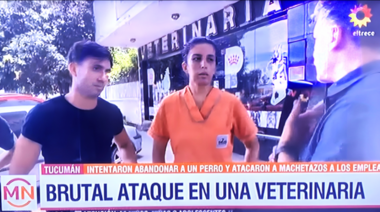 No a la violencia contra los Médicos Veterinarios