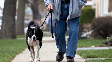 Pasear al perro beneficia la movilidad de las personas mayores