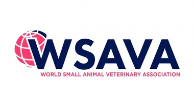 WSAVA busca miembros para unirse a su Comité de Bienestar Profesional