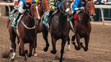 Identifican más de 100 genes asociados con las fracturas en caballos pura sangre