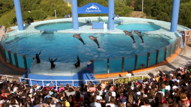Confirman el cierre de Aquarium Mar del Plata: ¿Cuál será el destino de los animales?
