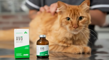 Mejor sin dolor. AVO Inyectable