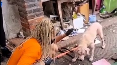 Macabro hallazgo de animales en una casa de Ramos Mejía