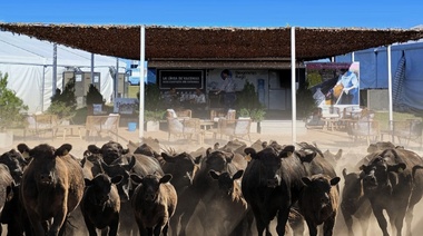 Biogénesis Bagó estará presente en Expoagro 2025 con novedades para el sector