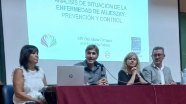 La FAV de la UNRC analizó la situación de la Enfermedad de Aujeszky en la región