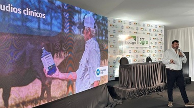 Suplenut Se: el nuevo suplemento con selenio de Biogénesis Bagó que fortalece la inmunidad del rodeo