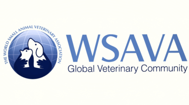 WSAVA busca profesionales para integrar dos de sus importantes comités
