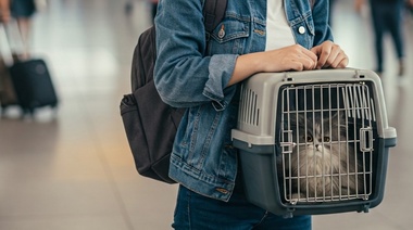 Requisitos para quienes ingresan a la Argentina con perros, gatos o hurones provenientes de la Unión Europea