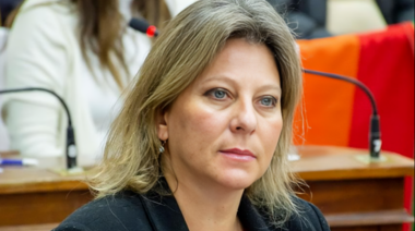 El HCD de Río Cuarto dictó una resolución en la que repudia la violencia contra los veterinarios