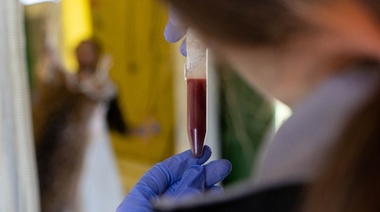 SIGATM: Nueva herramienta para veterinarios acreditados en sanidad animal