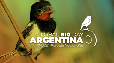 Se viene una nueva edición del evento mundial de observación de aves