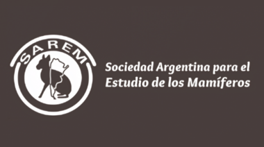 SAREM: "Expresamos nuestra profunda preocupación por el contenido de la Disposición 381/2025"