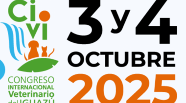 3 y 4 de Octubre - CIVI