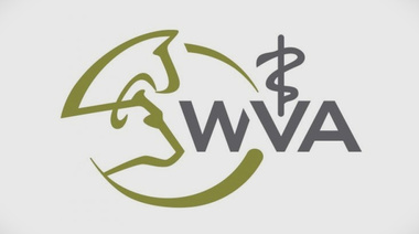 Declaración de posición actualizada sobre Educación Continua y Desarrollo Profesional