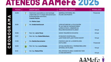 Ateneos AAMeFe 2025