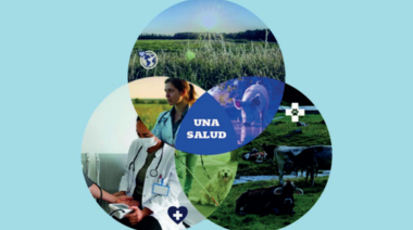 29, 30 y 31 de octubre de 2025 - Segundas Jornadas Interdisciplinarias “UNA SALUD”