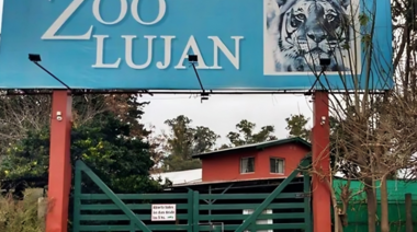 Animales del ex Zoo de Luján: el Estado y Four Paws unen fuerzas por su bienestar