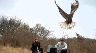 Córdoba: Liberan animales silvestres que habían sido rescatados y rehabilitados