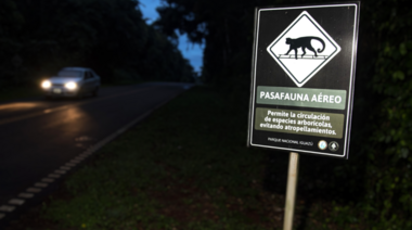 Nuevo informe sobre atropellamientos de fauna en áreas protegidas del NEA
