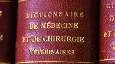 SOMEVE y un legado centenario para la Facultad de Ciencias Veterinarias de la UBA