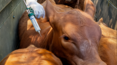 Biogénesis Bagó valoró la Resolución 711/2025 del Senasa