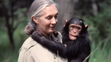Adiós a Jane Goodall, la mujer que cambió la mirada sobre los chimpancés y la humanidad