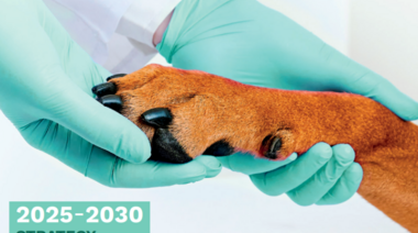 La Asociación Veterinaria Mundial presentó su estrategia global 2025-2030