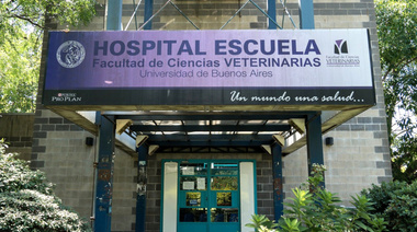 Importante donación de Triton Vet al Hospital Escuela de la UBA