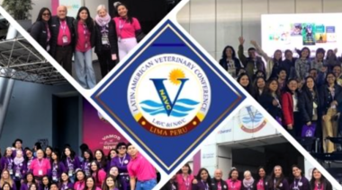 18 al 21 de Mayo - LAVC 2026