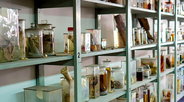 La UBA se suma a la gran noche cultural porteña