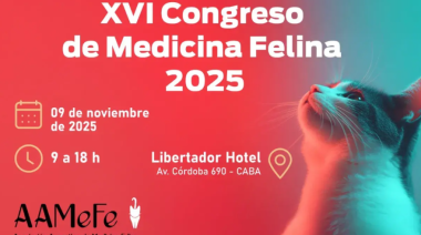 9 de Noviembre - Congreso de Medicina Felina 2026