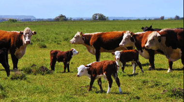 Evalúan el uso de taninos vegetales en el control de parásitos en bovinos